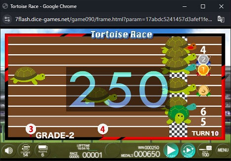 Tortoise Race