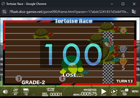 Tortoise Race