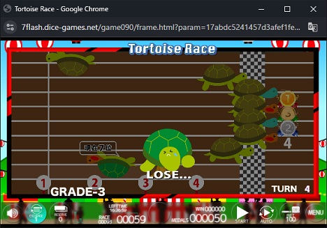 Tortoise Race