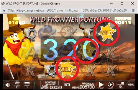 WILD FRONTIER FORTUNE