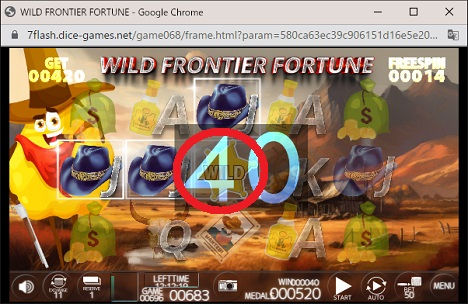 WILD FRONTIER FORTUNE