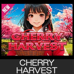 CHERRY HARVEST