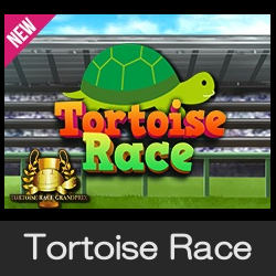 Tortoise Race