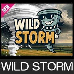 WILD STORM